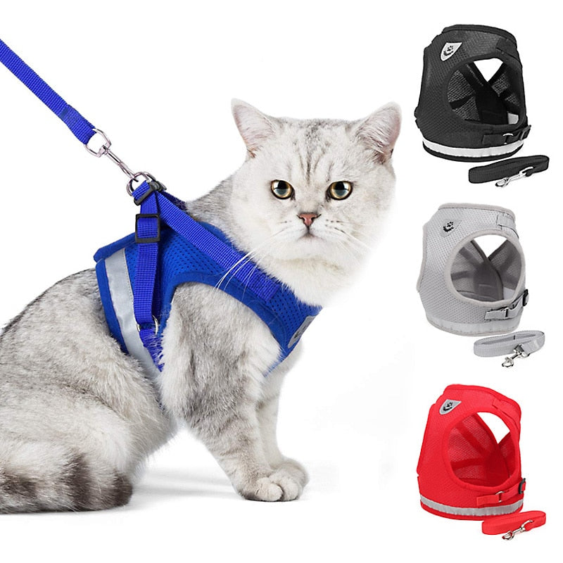 Cat Harness And Leash Set