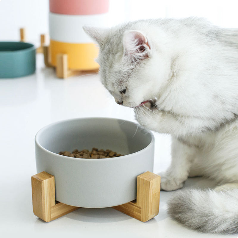 Ceramic Dish Pet Food Bowl