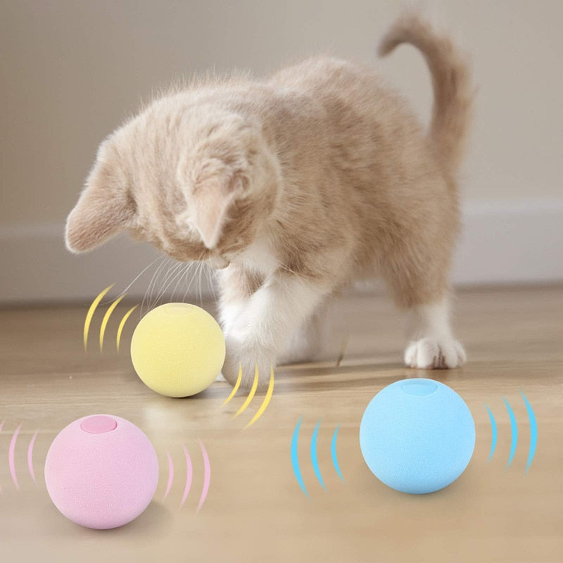 Interactive Catnip Cat Training Toy