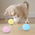 Interactive Catnip Cat Training Toy